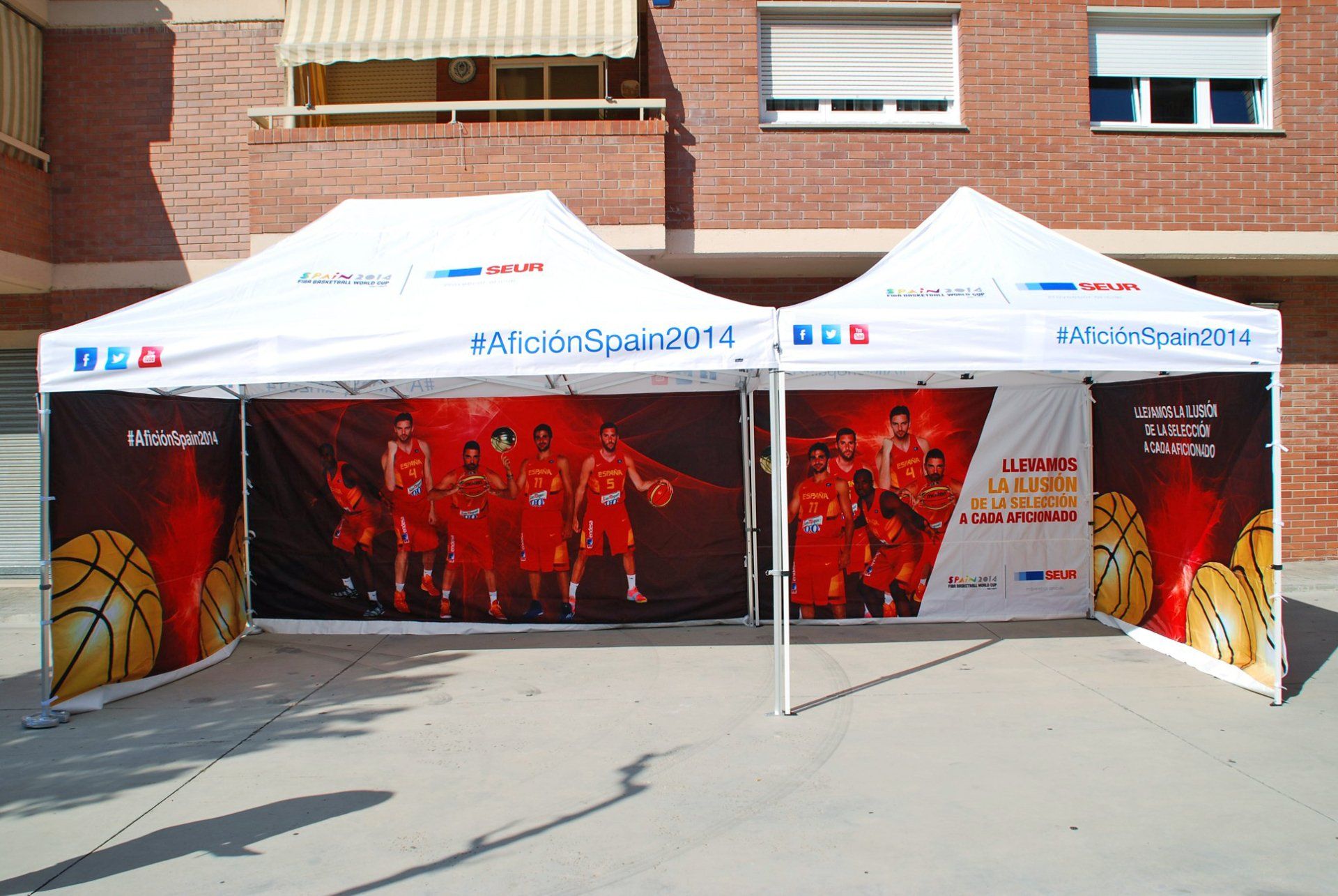 carpa baloncesto
