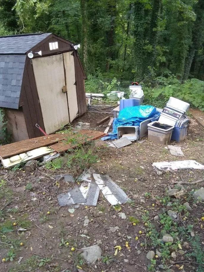 Outdoor shed beside a wooded yard, with scattered trash, bags, and broken items on the ground.