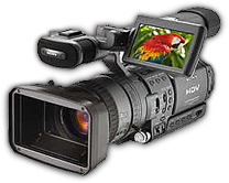 picture picture