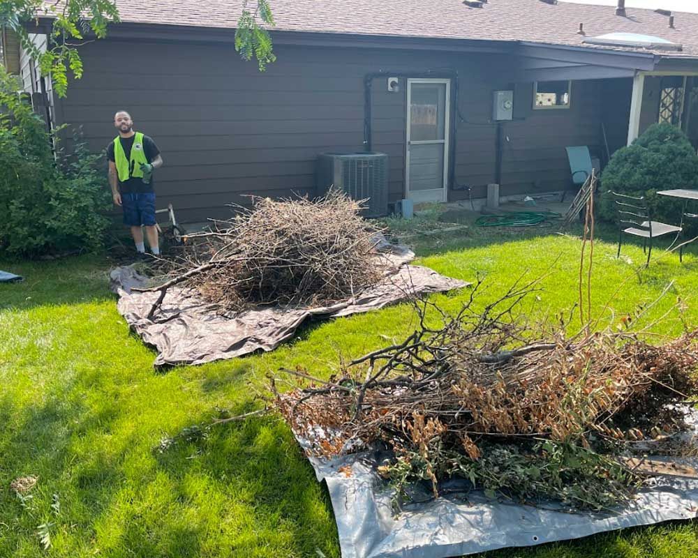 yard debris cleanup, yard waste reomoval, best junk removal companies near me, littleton co, pride n service