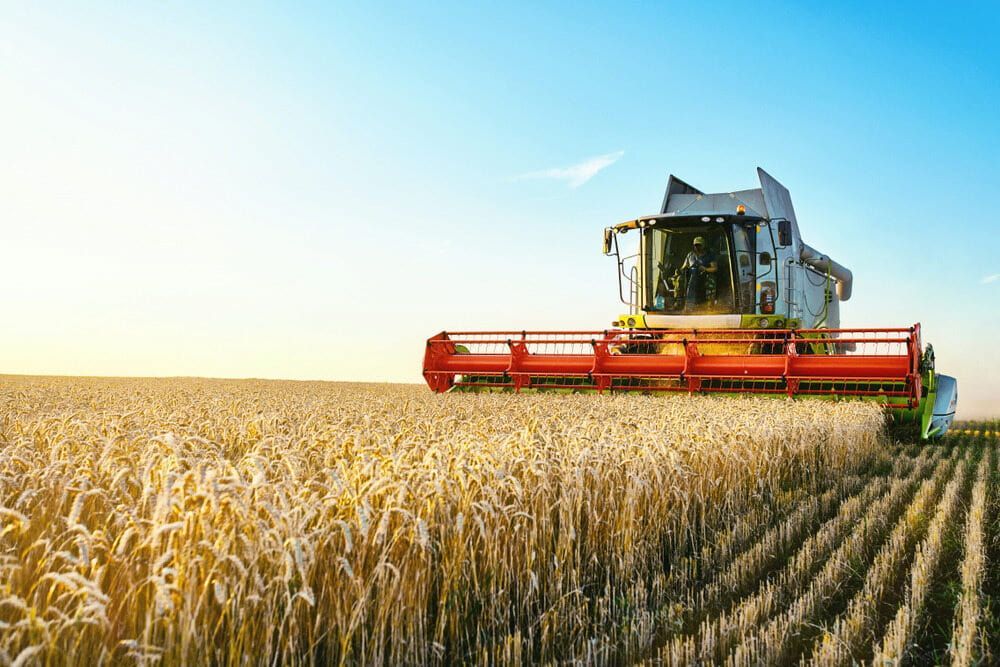 A Combine Harvester is Working in a Wheat Field — Lavington Auto Electrical in Tallangatta, VIC