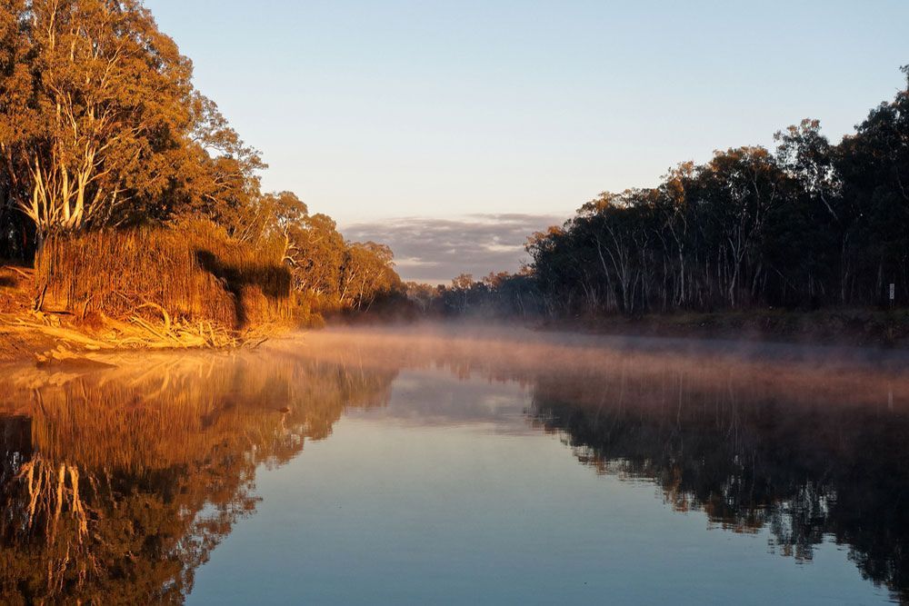 Scenic River with Trees on Both Sides View — Lavington Auto Electrical in Rutherglen, VIC