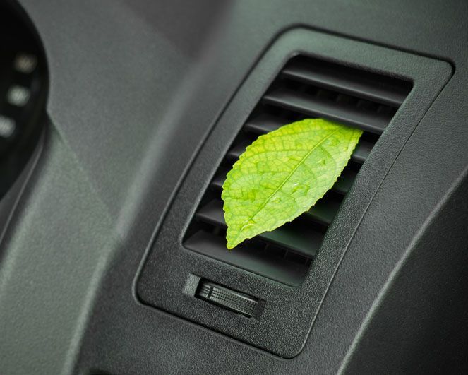 Car Air Conditioning Vent with a Leaf Accent — Lavington Auto Electrical in Tallangatta, VIC