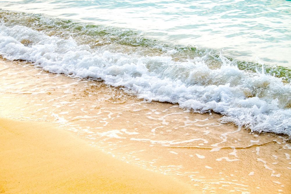 Waves Crashing on a Sandy Beach; White Foam Meets Golden Sand — Serene Therapy with Lana In Paddington, NSW