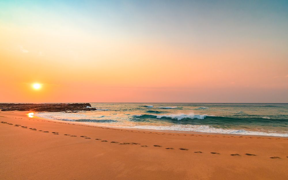 Sunrise Over Ocean, Sandy Beach, Footprints, Waves, and a Jetty — Serene Therapy with Lana In Paddington, NSW