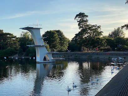 Diving tower on a lake, with swans and trees. Bright, sunny day.