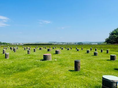 Green field with many cylindrical, weathered, wood posts under a blue sky.