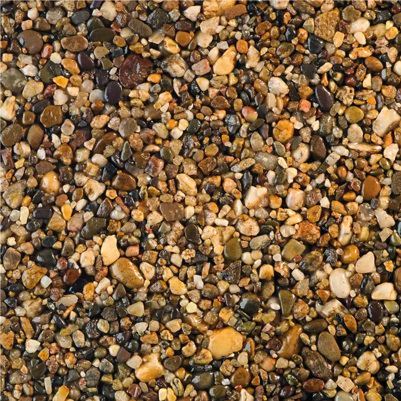 Close-up of small, smooth pebbles in various shades of brown, beige, and yellow.