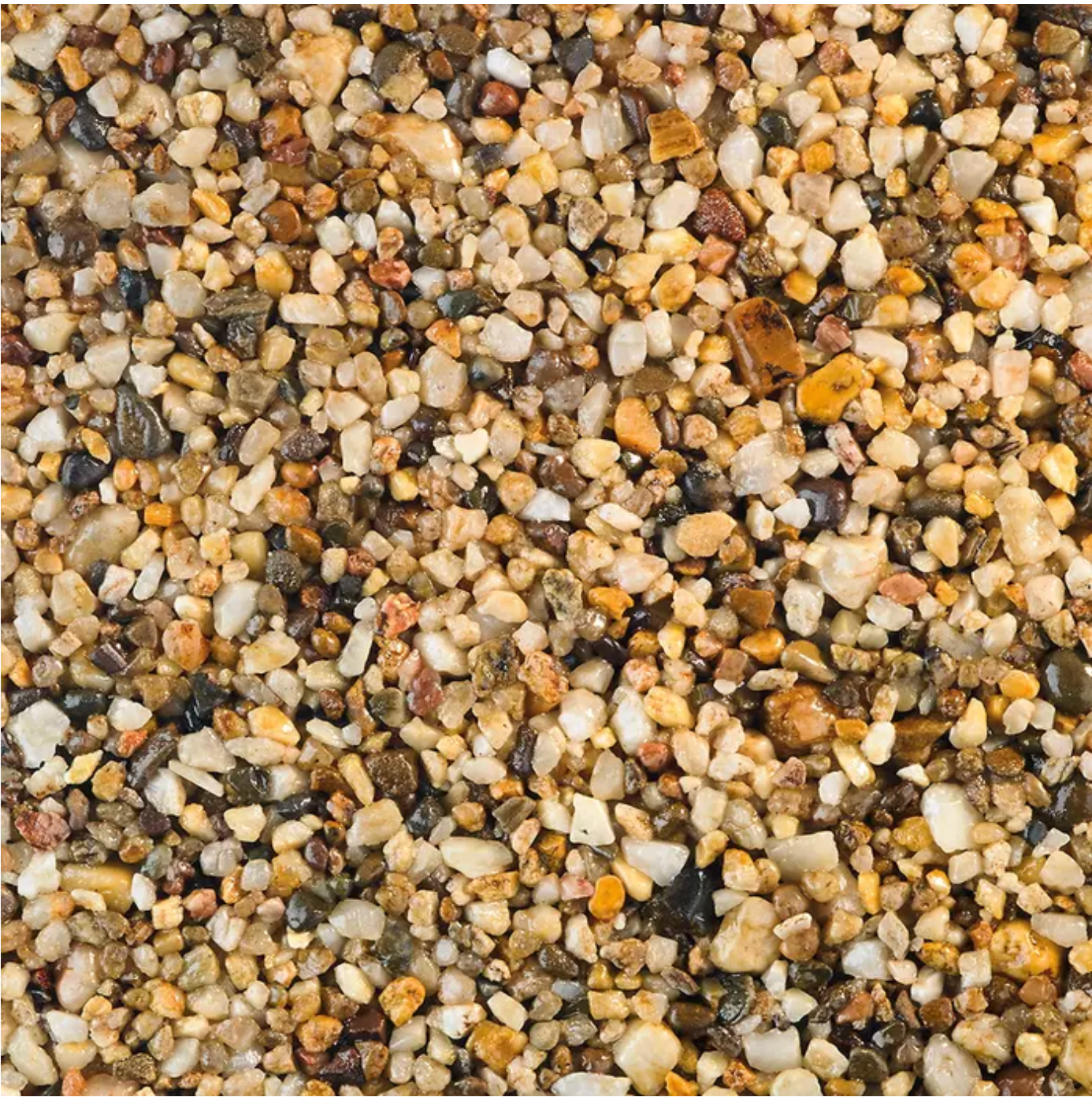 Close-up of mixed, small pebbles in shades of brown, tan, and gray.