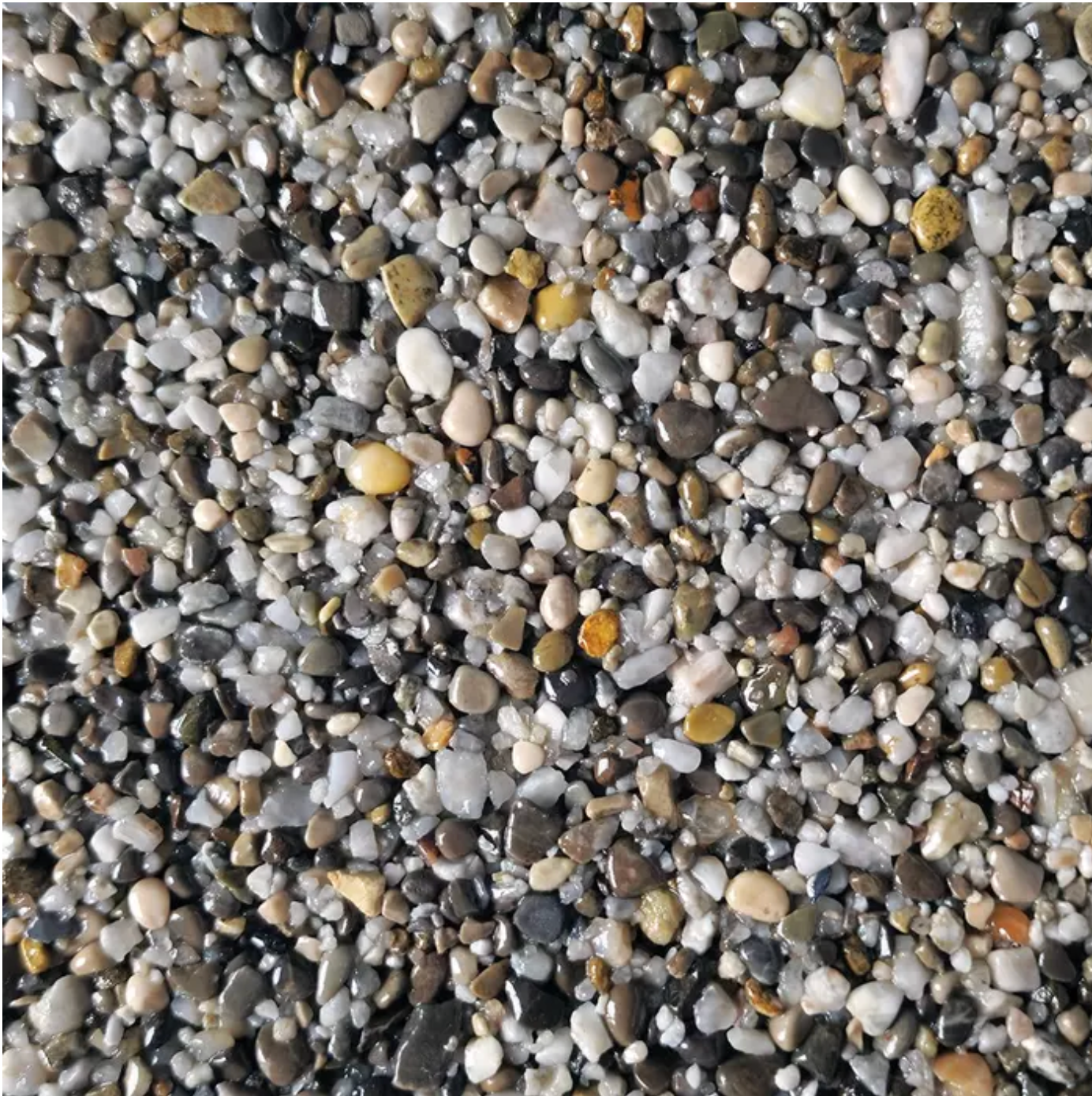 Close-up view of small, colorful pebbles, primarily gray, white, and brown.