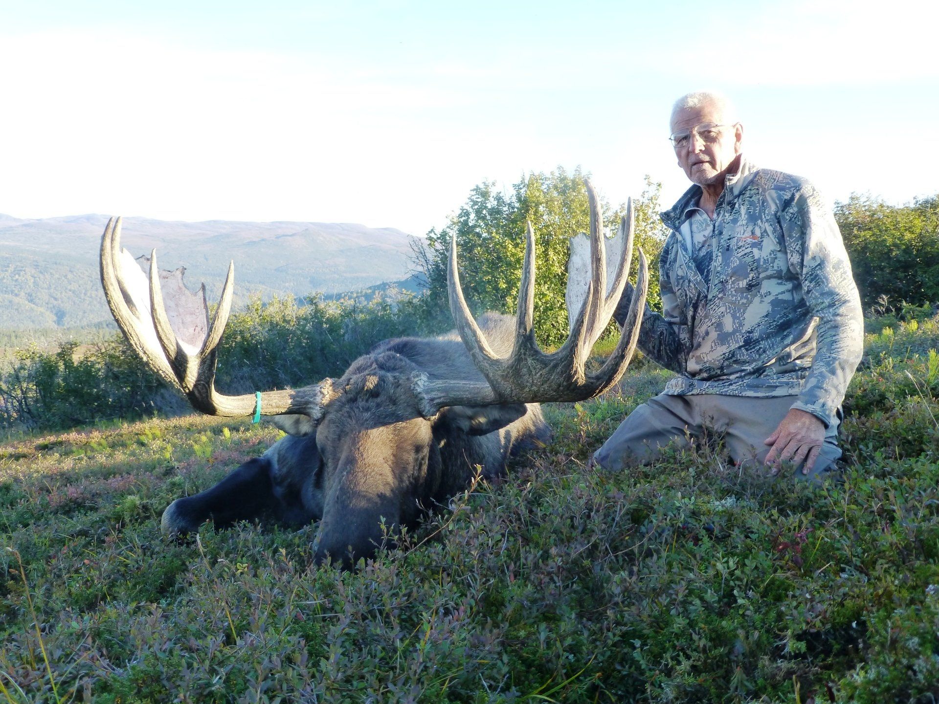 Alaska Moose hunting, Alaska Moose hunting guide, Alaska moose hunting outfitter