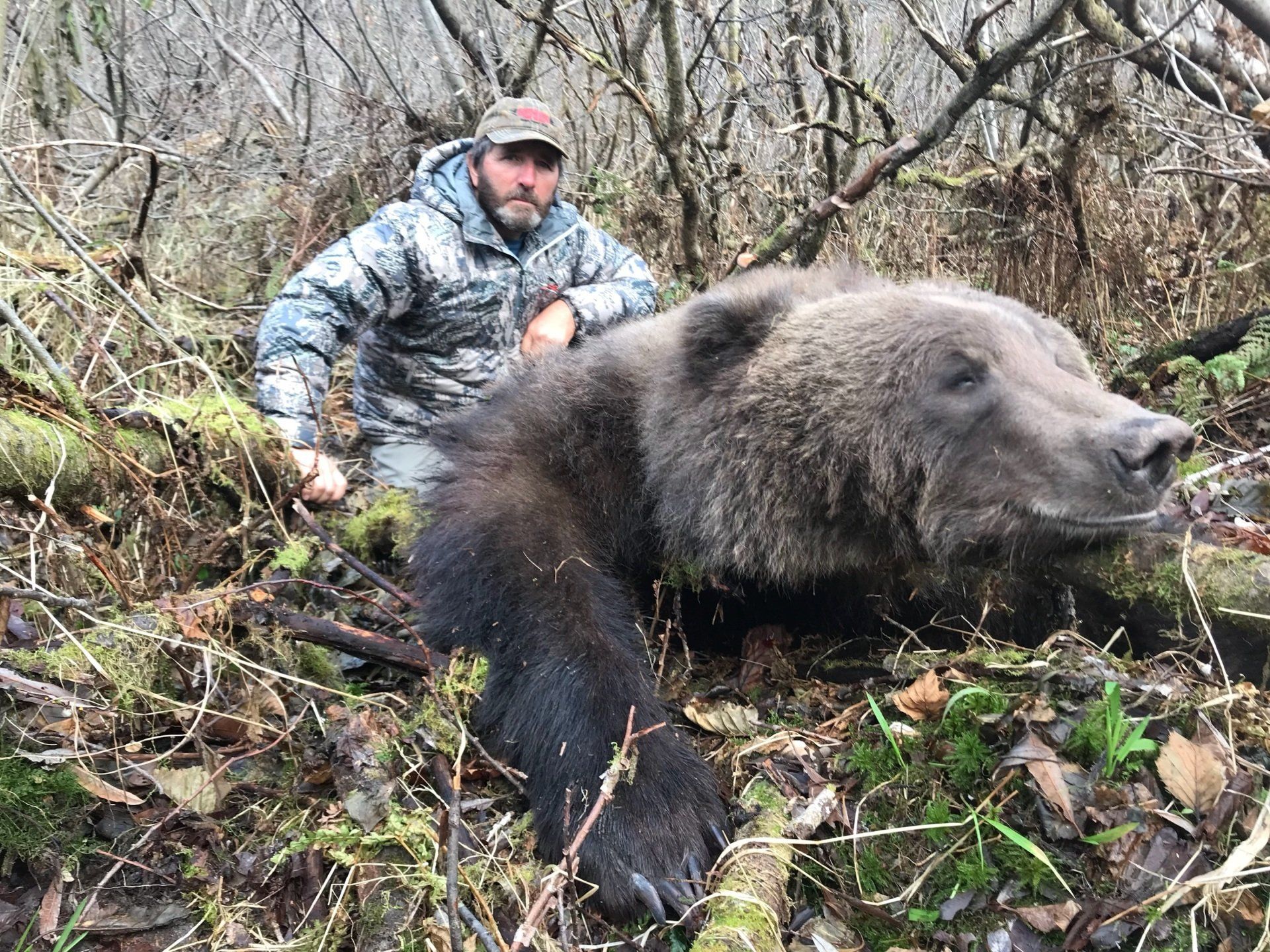 Alaska Brown Bear hunting, Alaska Bear Hunt, Grizzly, Kodiak Bear Hunt