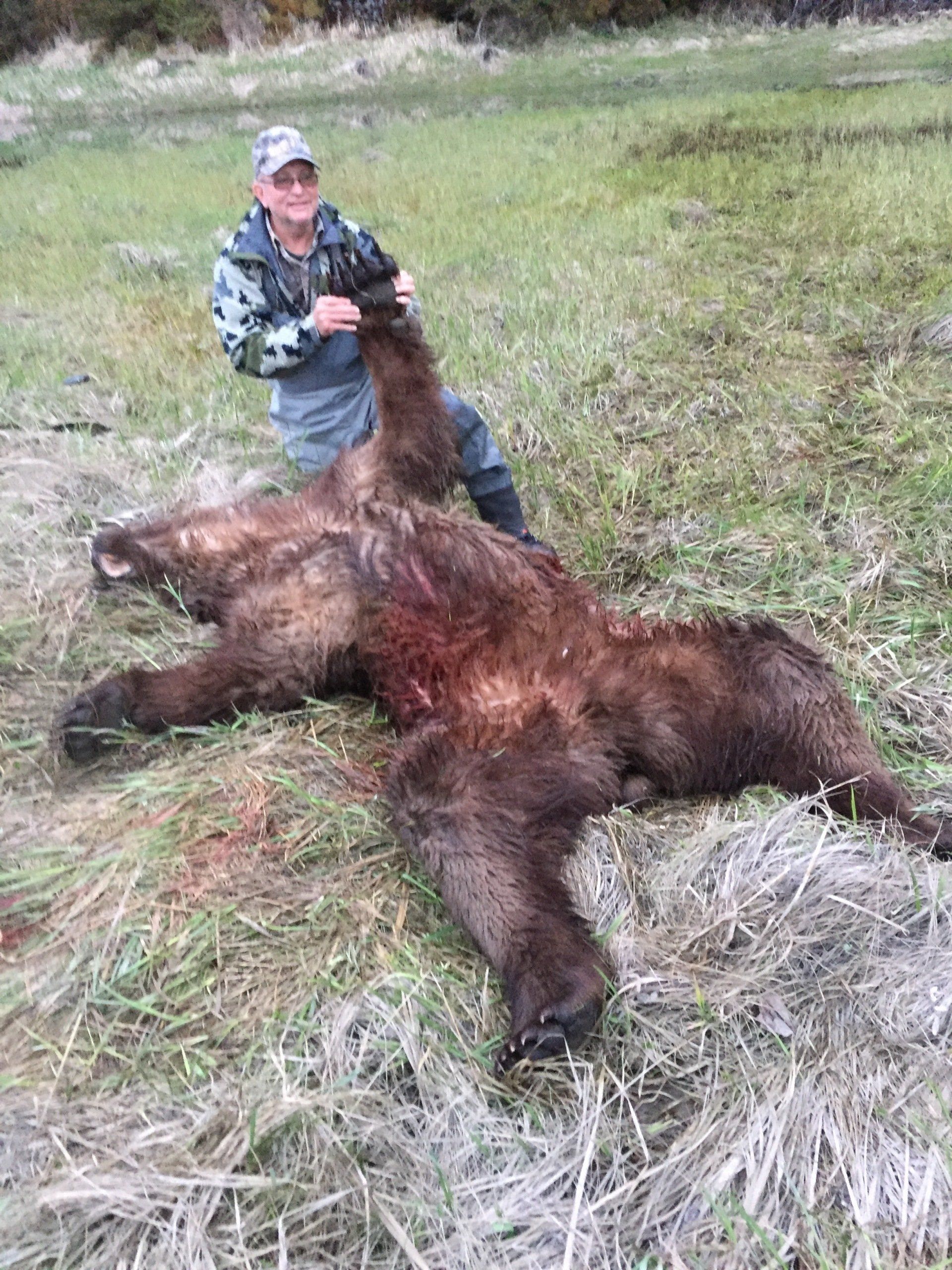 Alaska Brown Bear hunting