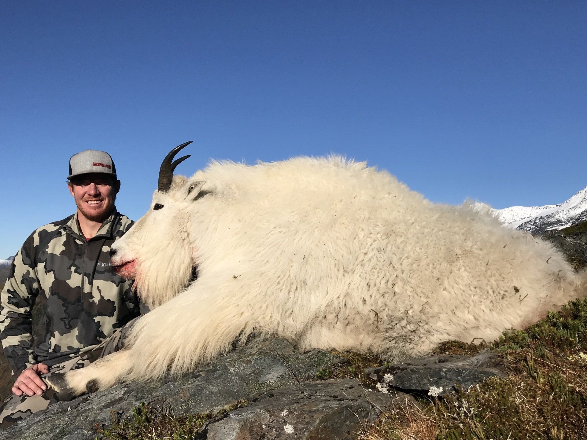 Alaska Mountain goat hunting, Alaska mountain goat hunting guide, Alaska mountain goat hunting outfitter