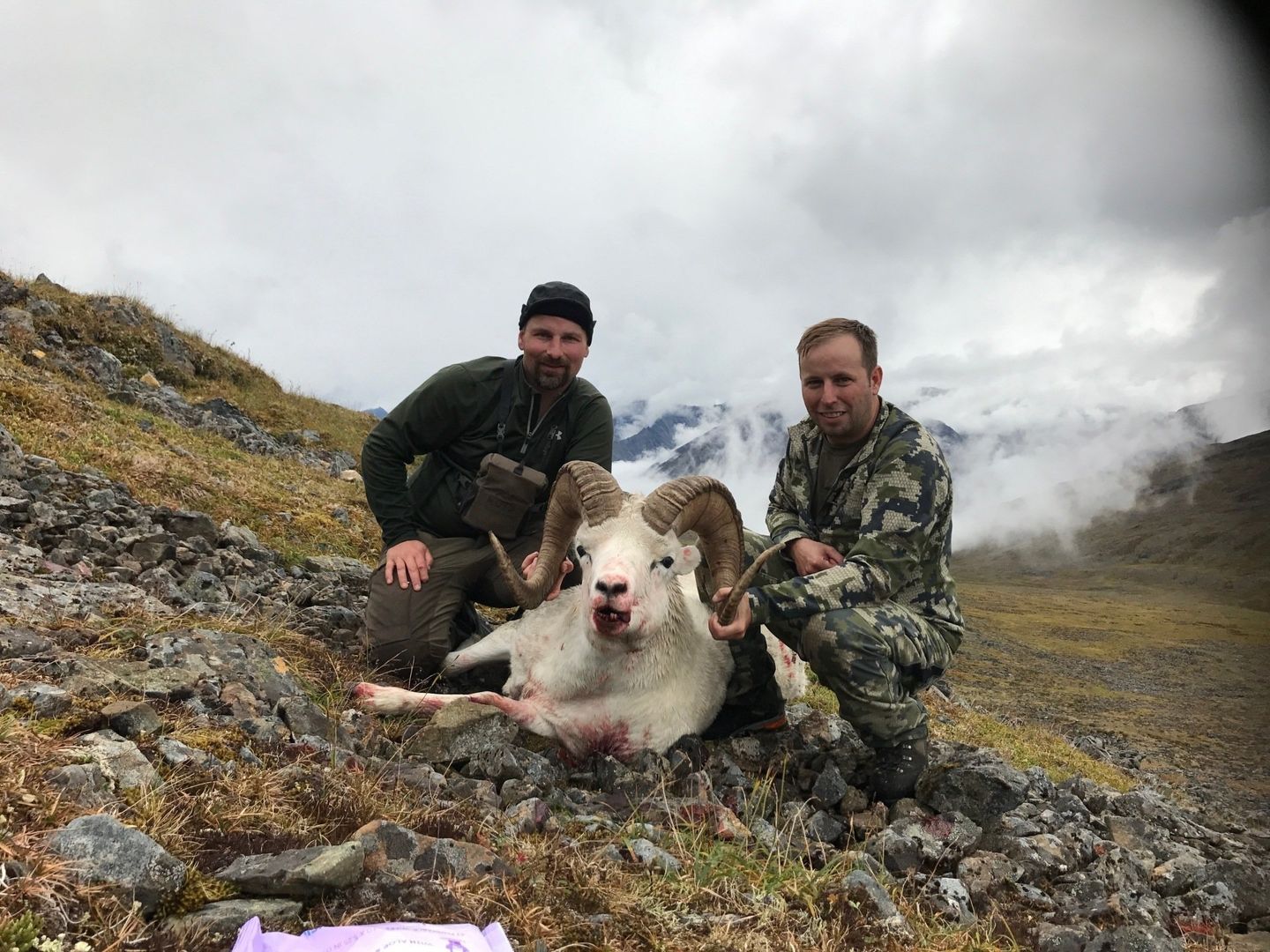 ALASKA DALL SHEEP HUNTING