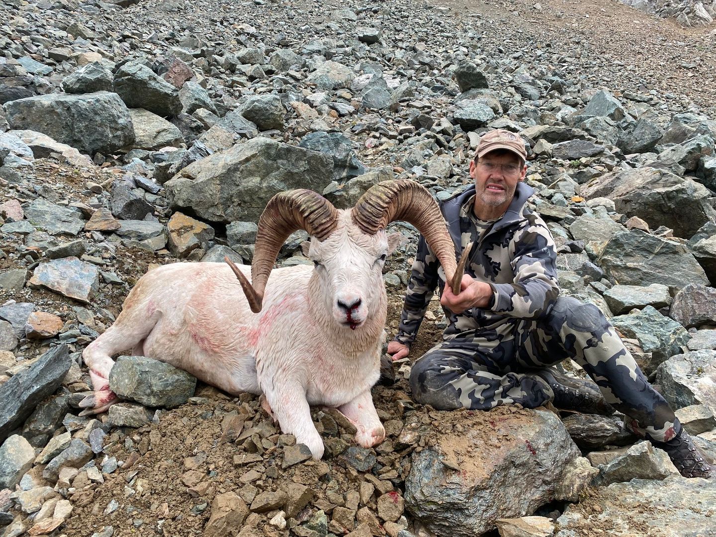ALASKA DALL SHEEP HUNTING