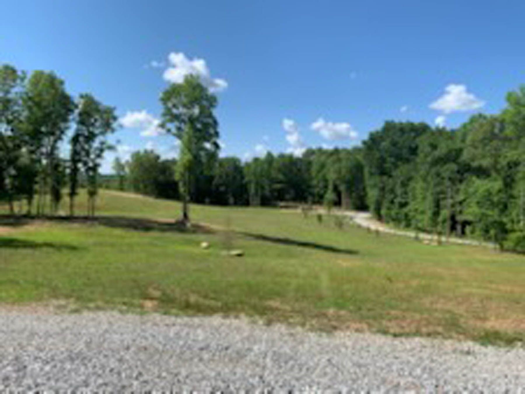 Grassy field with trees under a blue sky. Gravel road on the right.