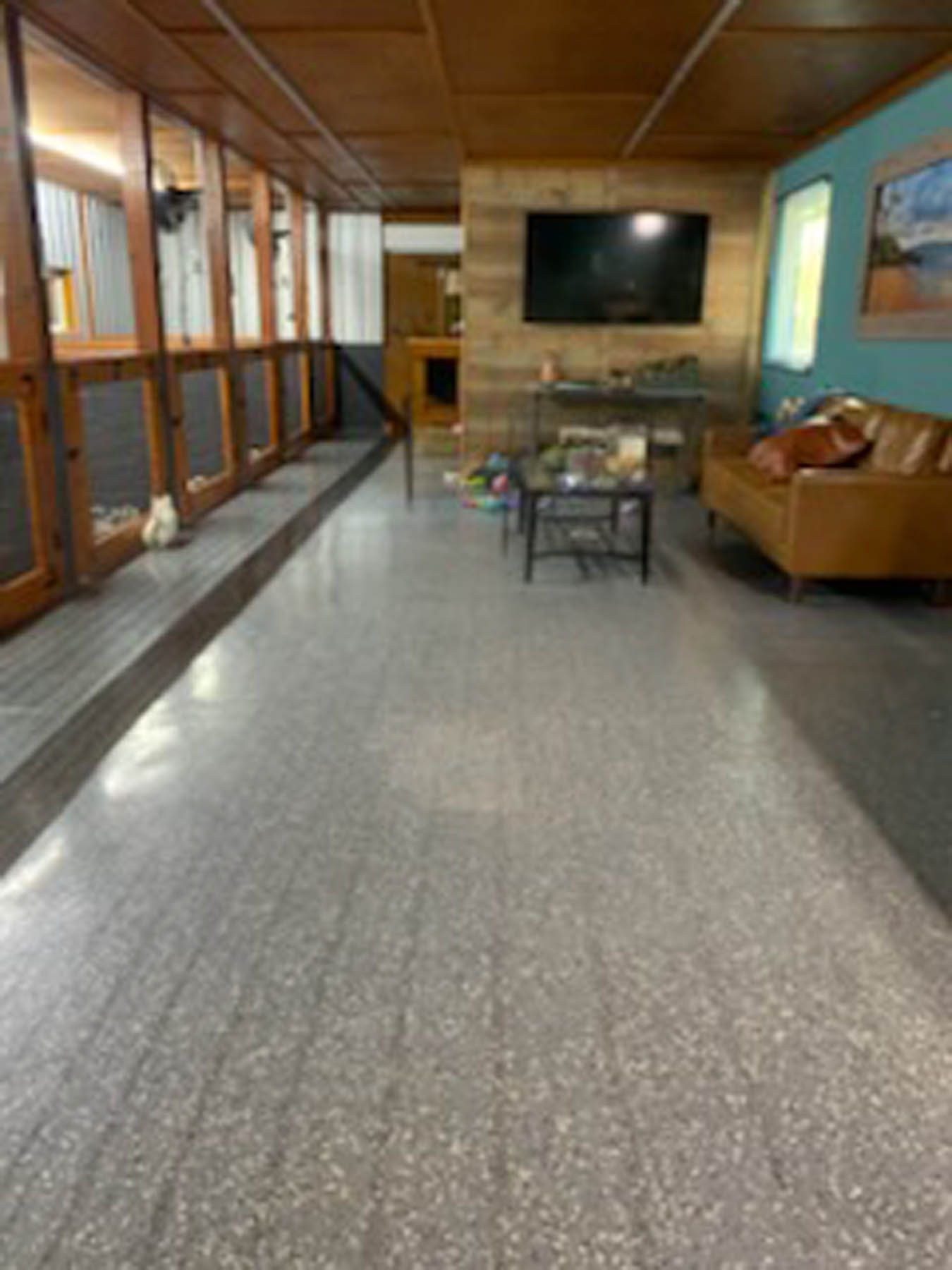 Spacious room with gray speckled floor, TV, brown leather couch, and a series of animal enclosures.