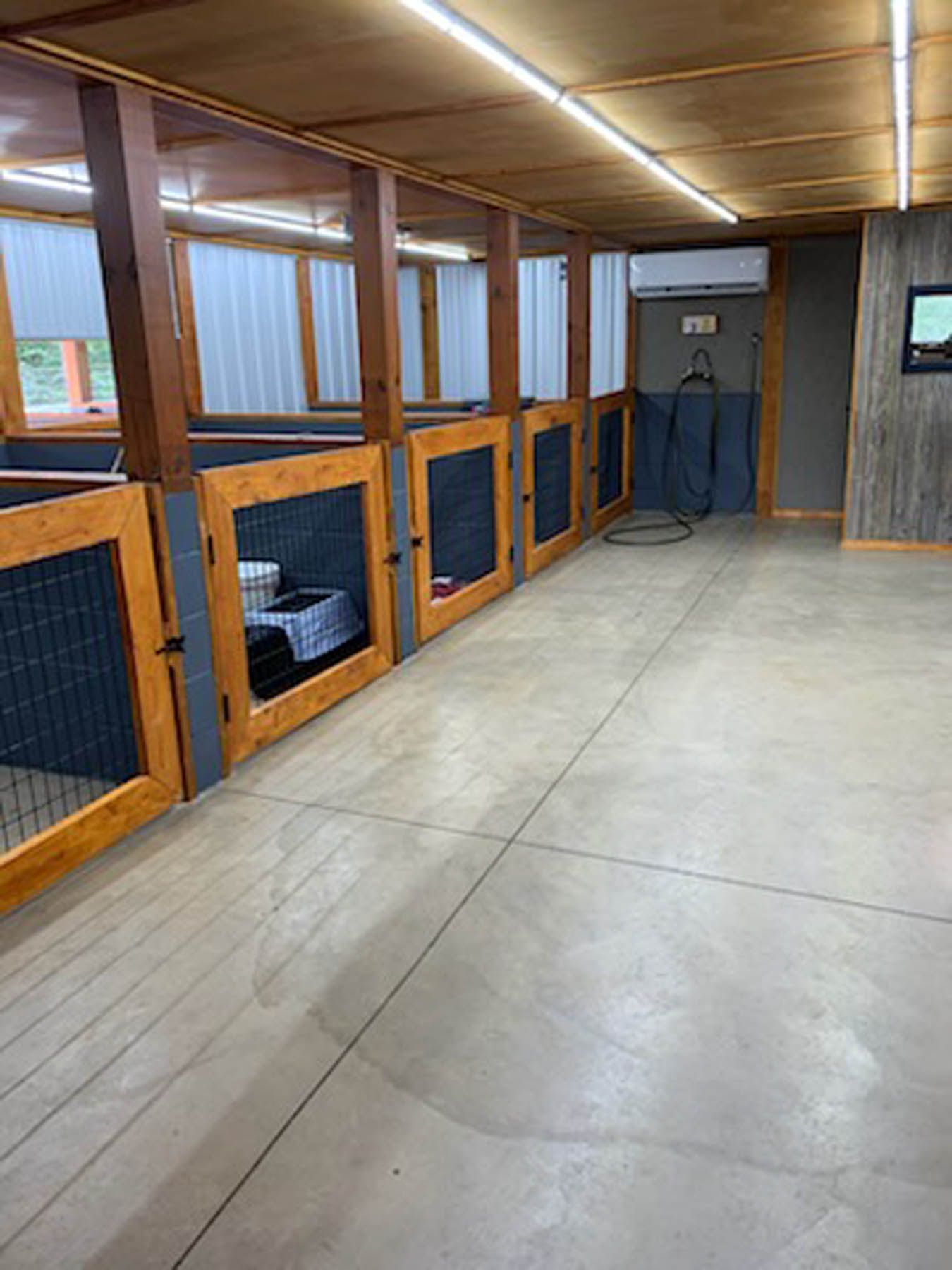 Interior of a dog kennel with individual enclosures. Wooden frames, wire doors, and concrete floor.