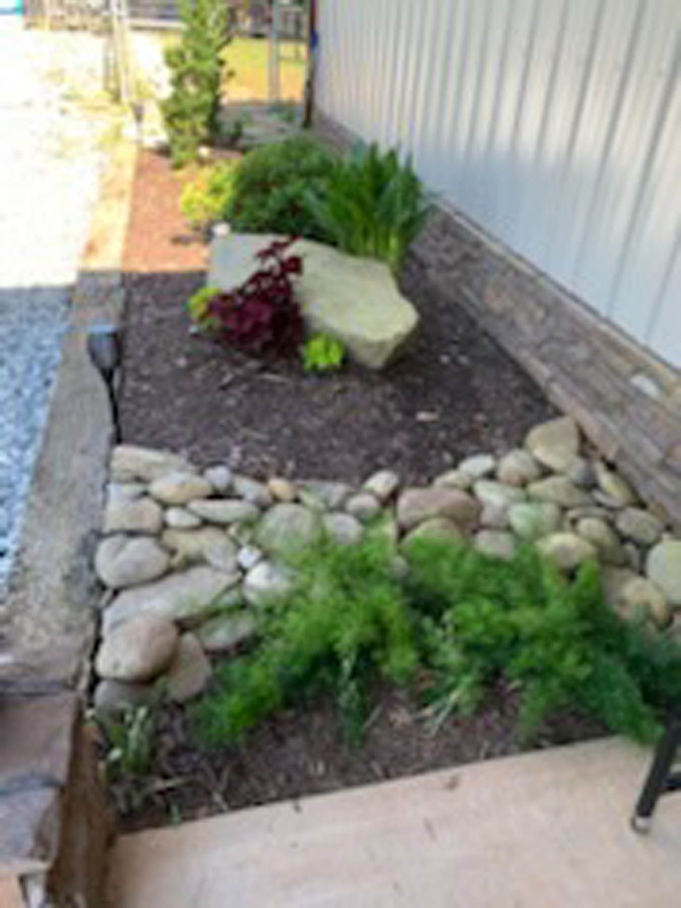 Stone-bordered garden bed with various green plants and a large rock against a white wall.