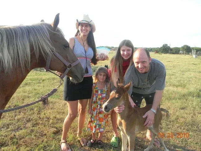 Family posing with two horses in a sunny field, including a horse close to the camera.