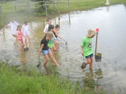 Children wading through shallow floodwater beside a grassy field, one holding a red bucket