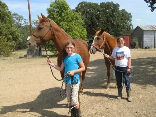 Two children holding ropes beside two brown horses in a dusty outdoor field under trees