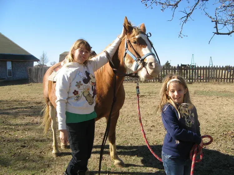 Two children stand with a brown horse on a leash in a sunny farmyard