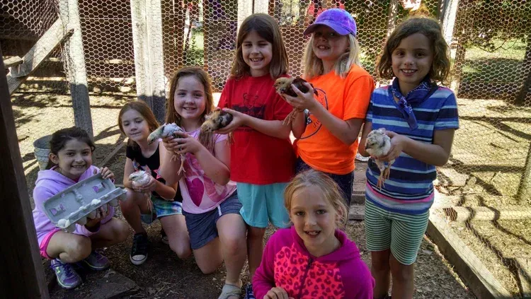 Group of children outdoors holding small animals, smiling in a fenced yard.