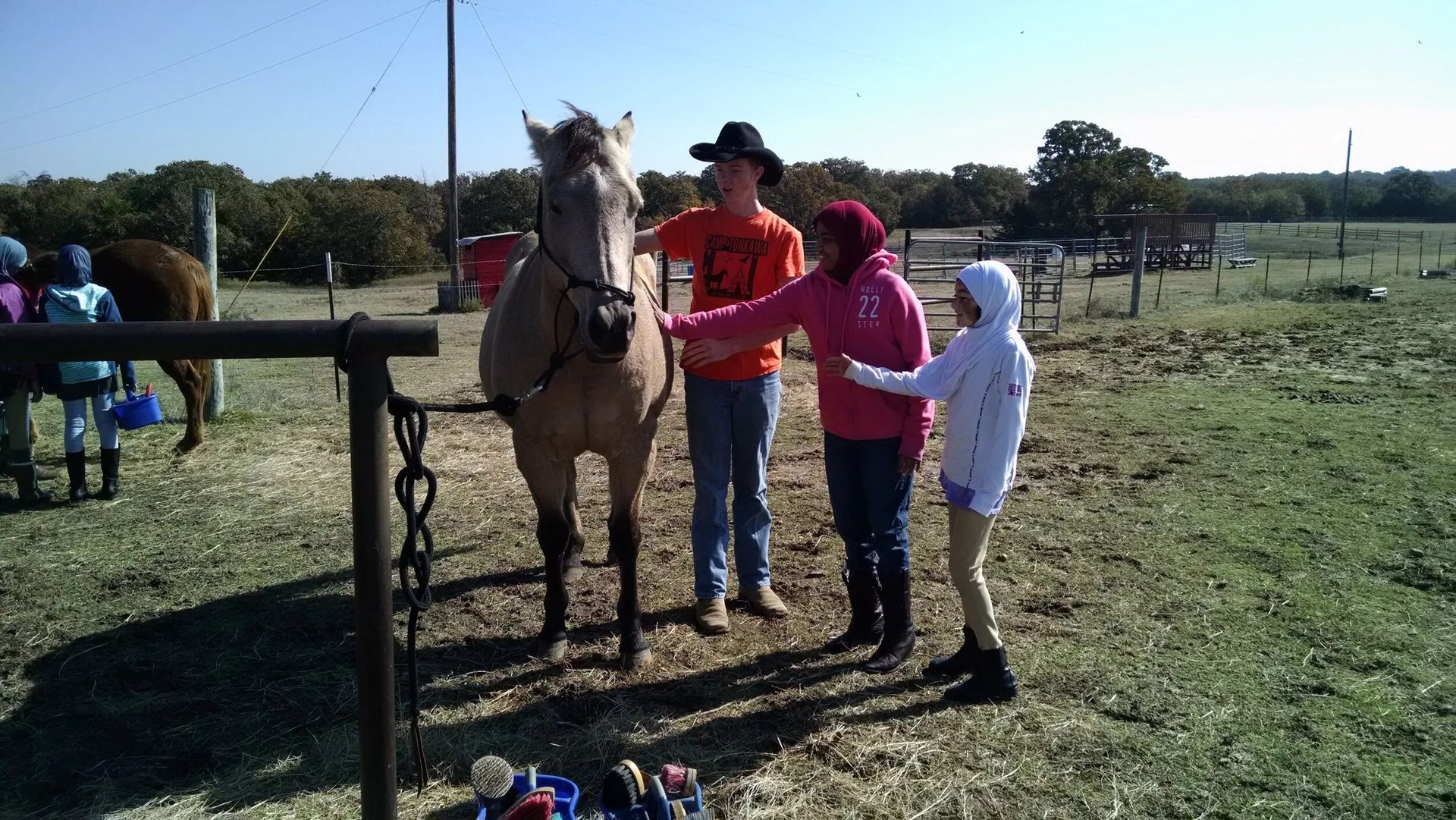 Group of children sitting and standing on a large slanted tree trunk in a wooded area