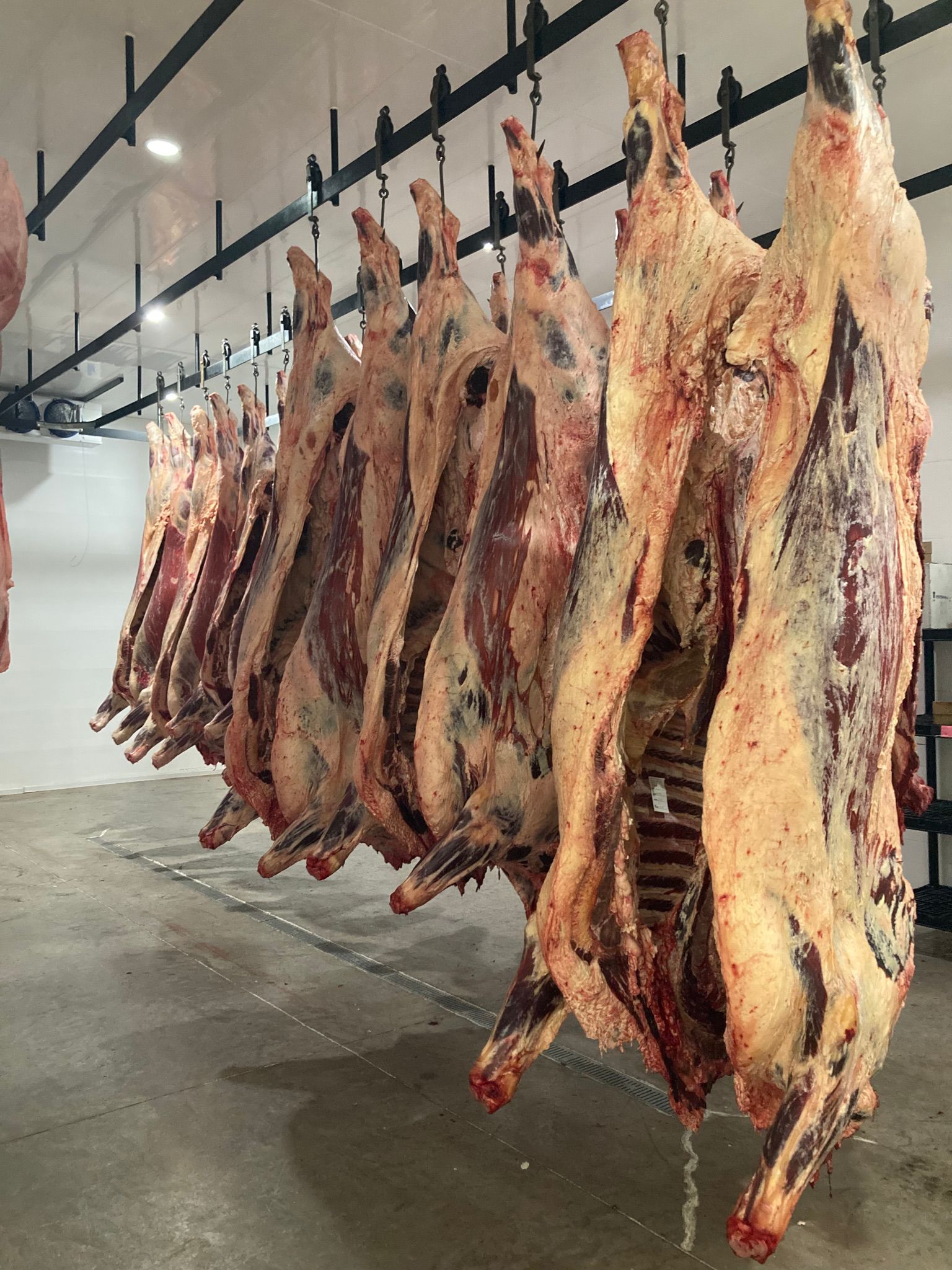 A bunch of meat hanging from hooks in a room