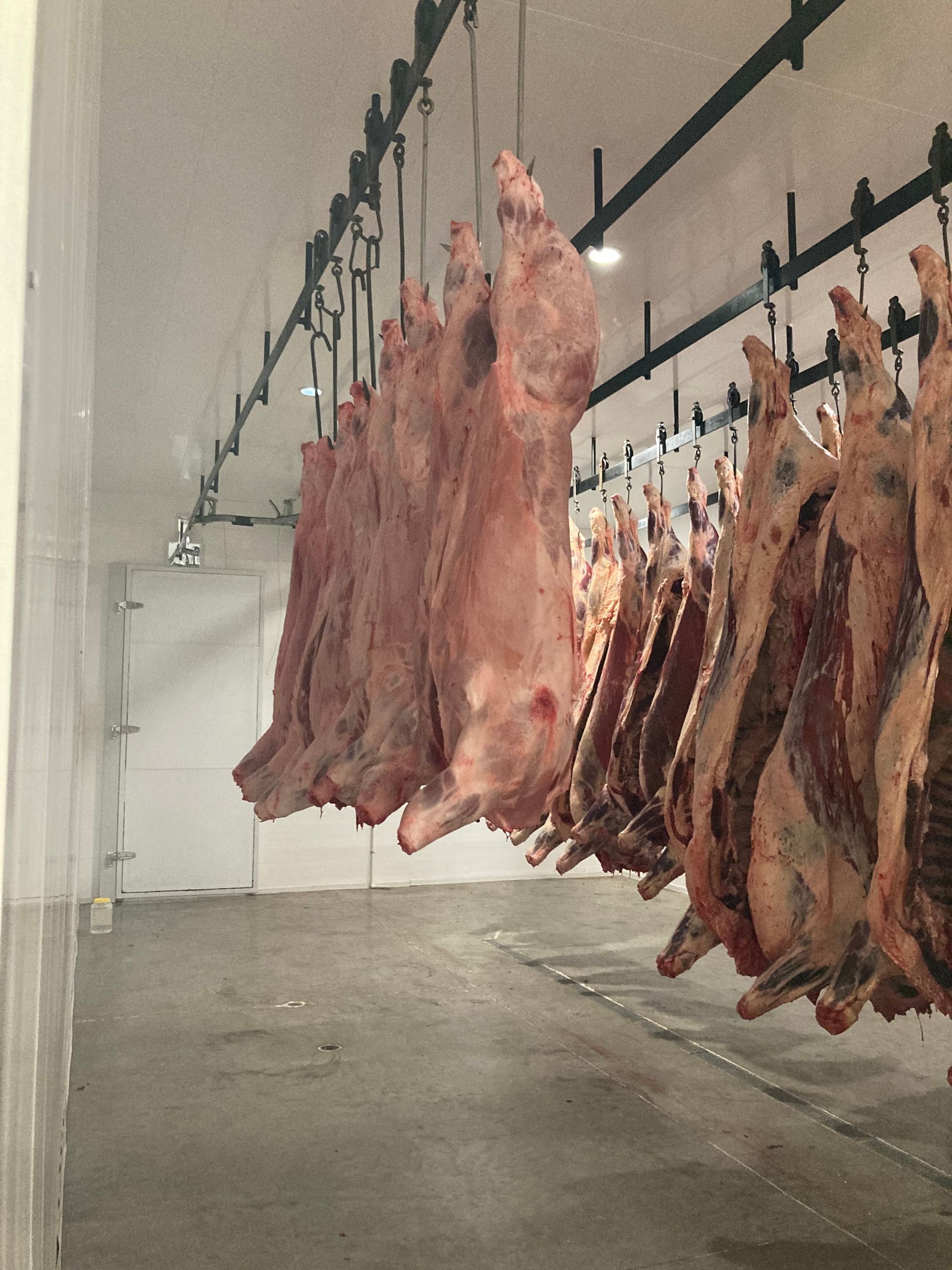 A bunch of meat hanging from the ceiling in a room