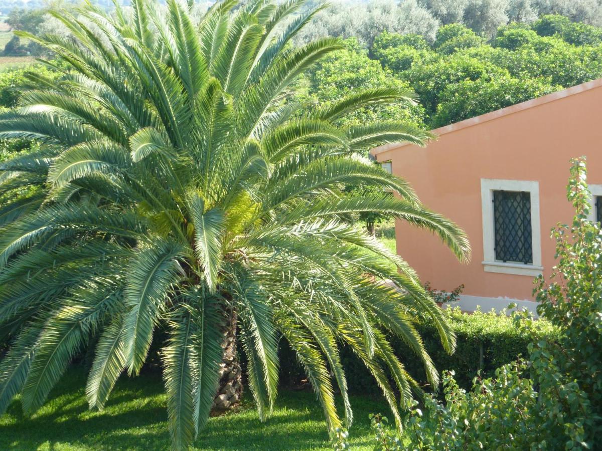 Palma di fronte a un edificio color corallo. Sullo sfondo, una rigogliosa vegetazione verde.