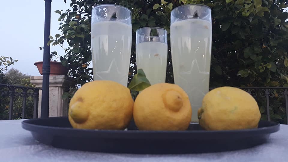 Tre limoni, bicchieri di limonata su un vassoio, all'aperto.