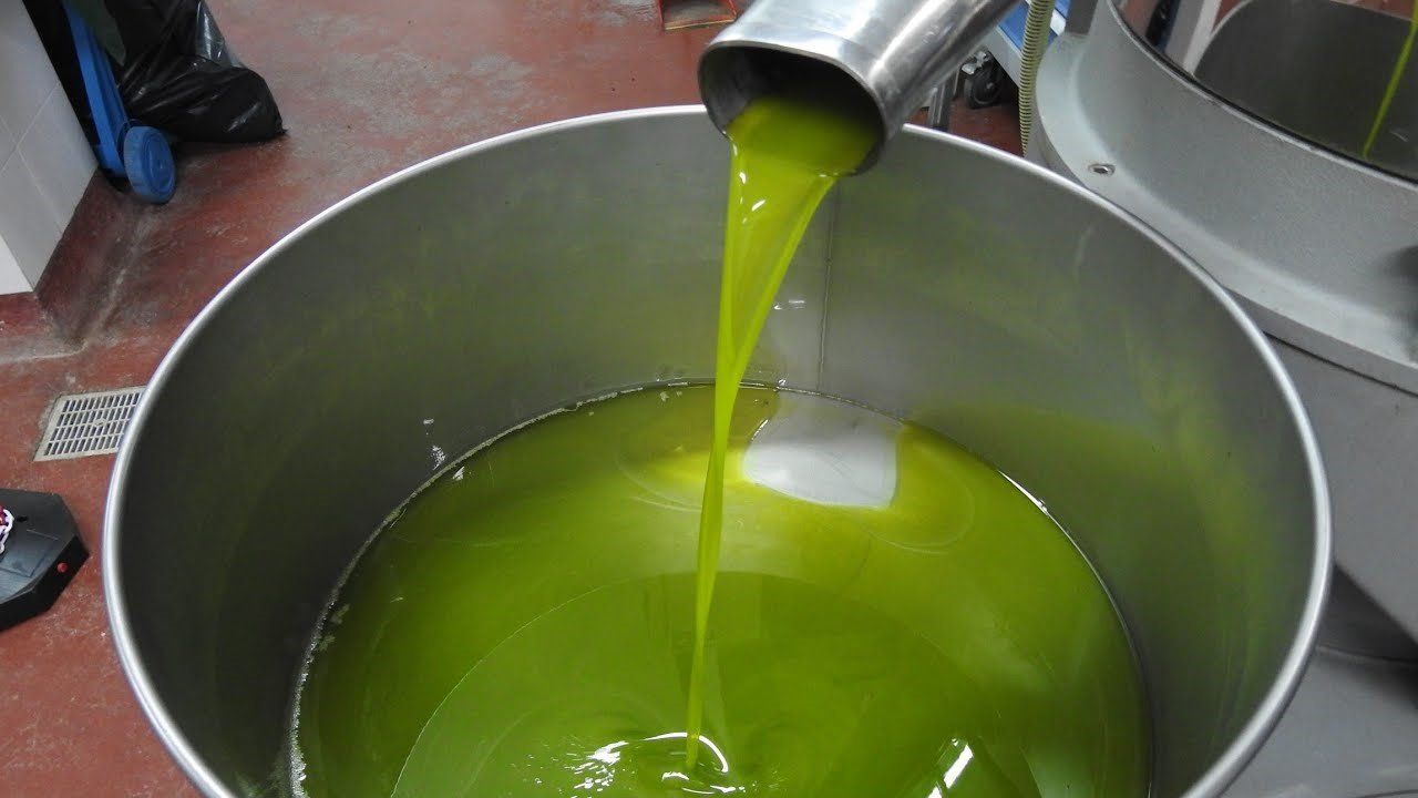 Olio d'oliva verde versato in un contenitore di acciaio inossidabile in uno stabilimento di lavorazione.