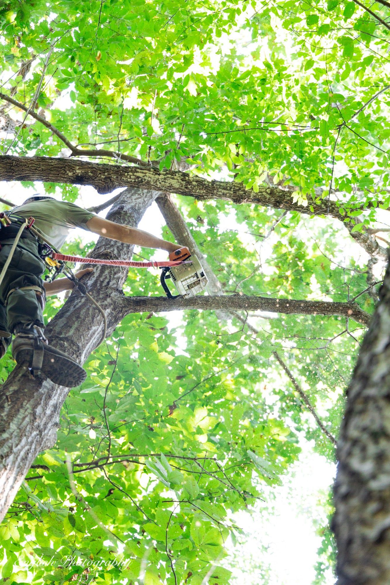 A man is cutting a tree branch with a chainsaw.
