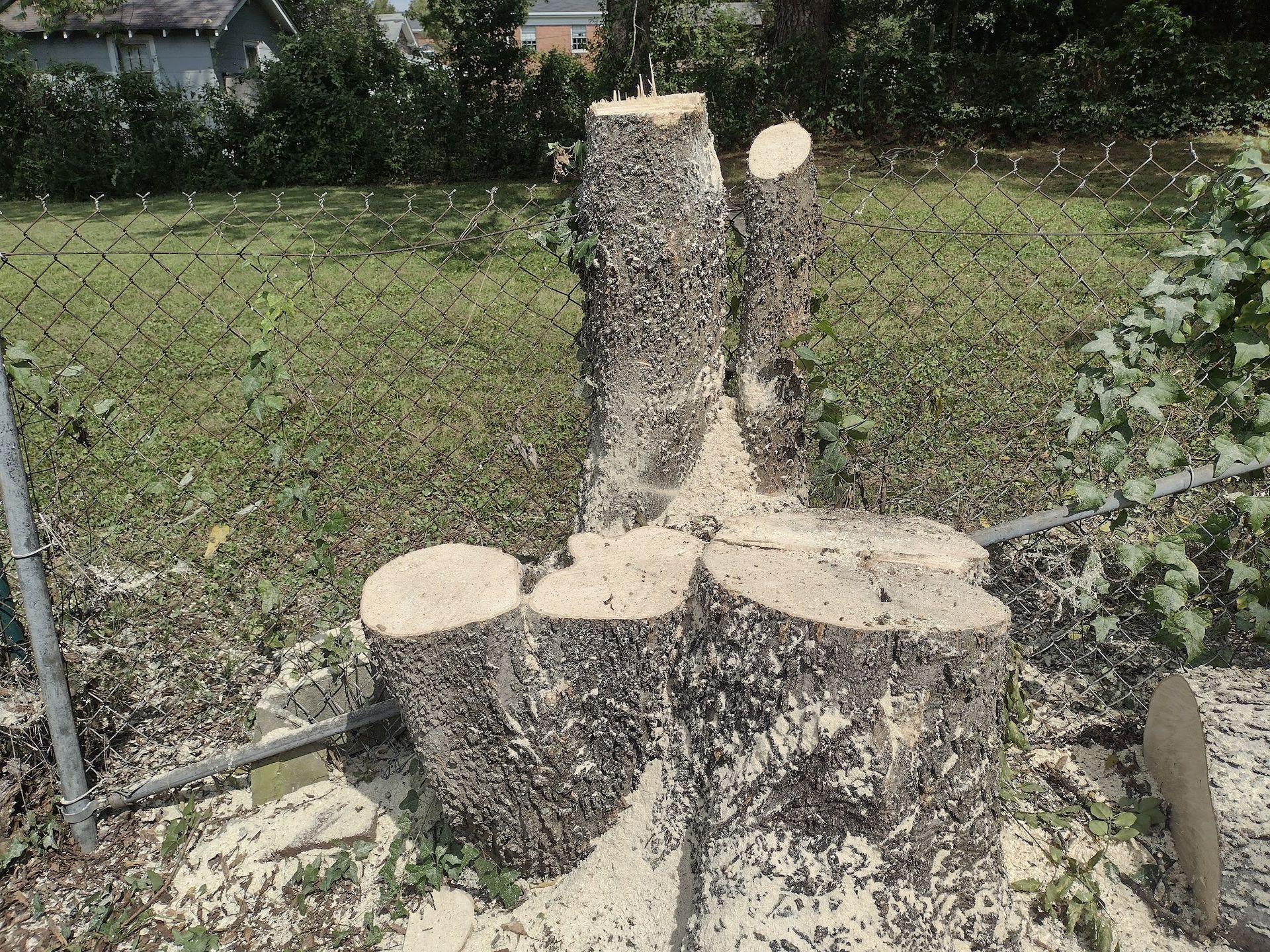 A tree stump is sitting in the grass next to a chain link fence.