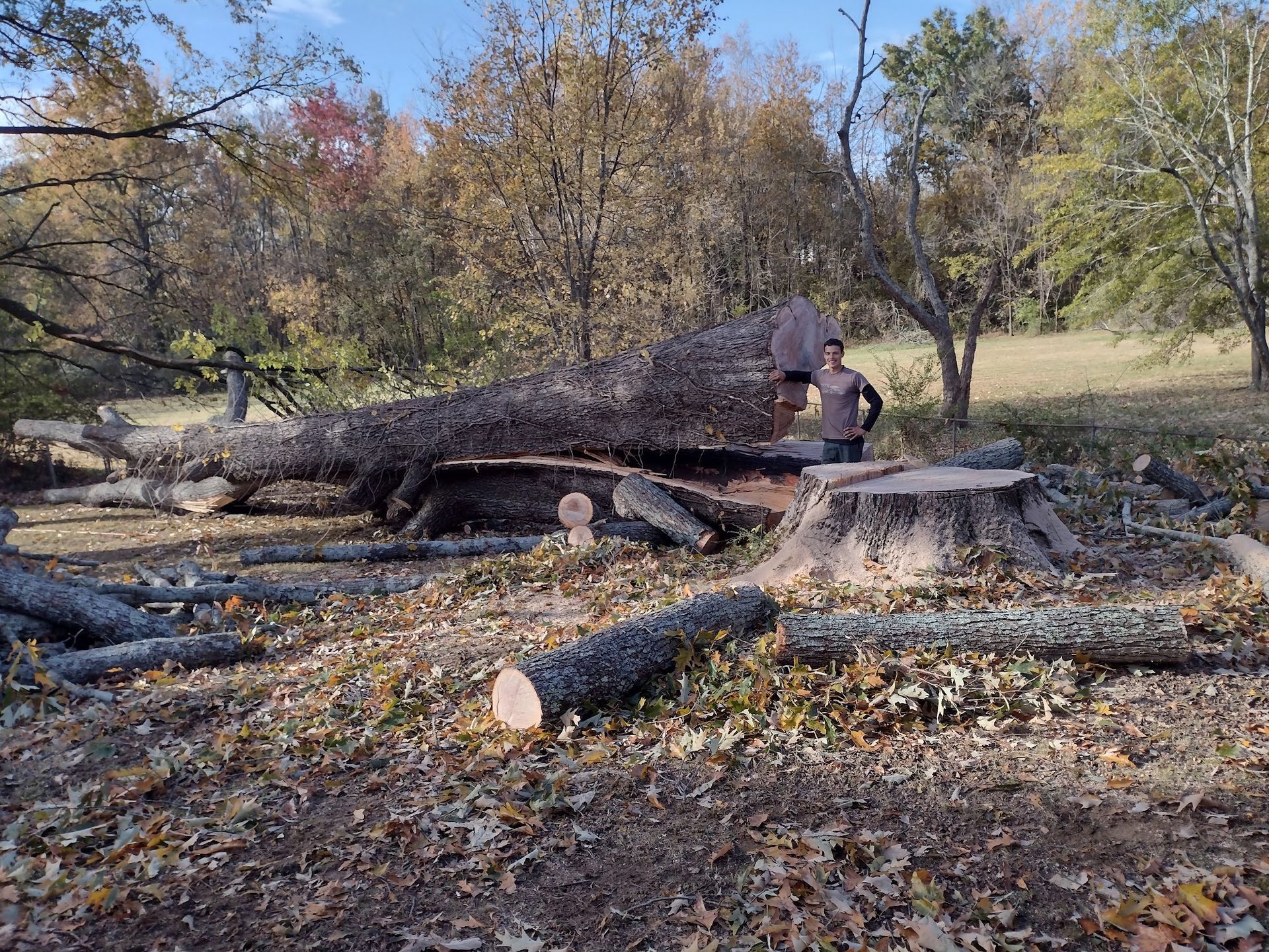 A man is standing next to a large tree stump in a field.