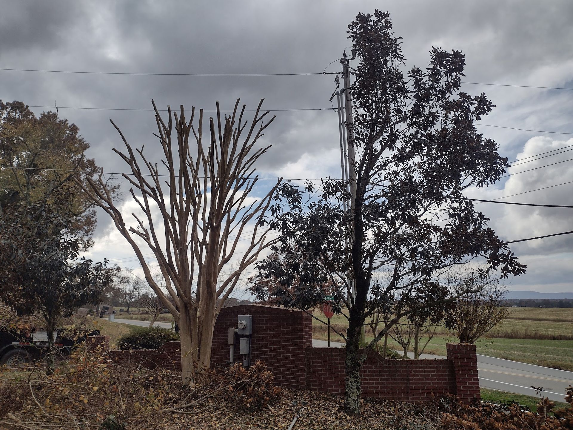 A brick wall is surrounded by trees and power lines on a cloudy day