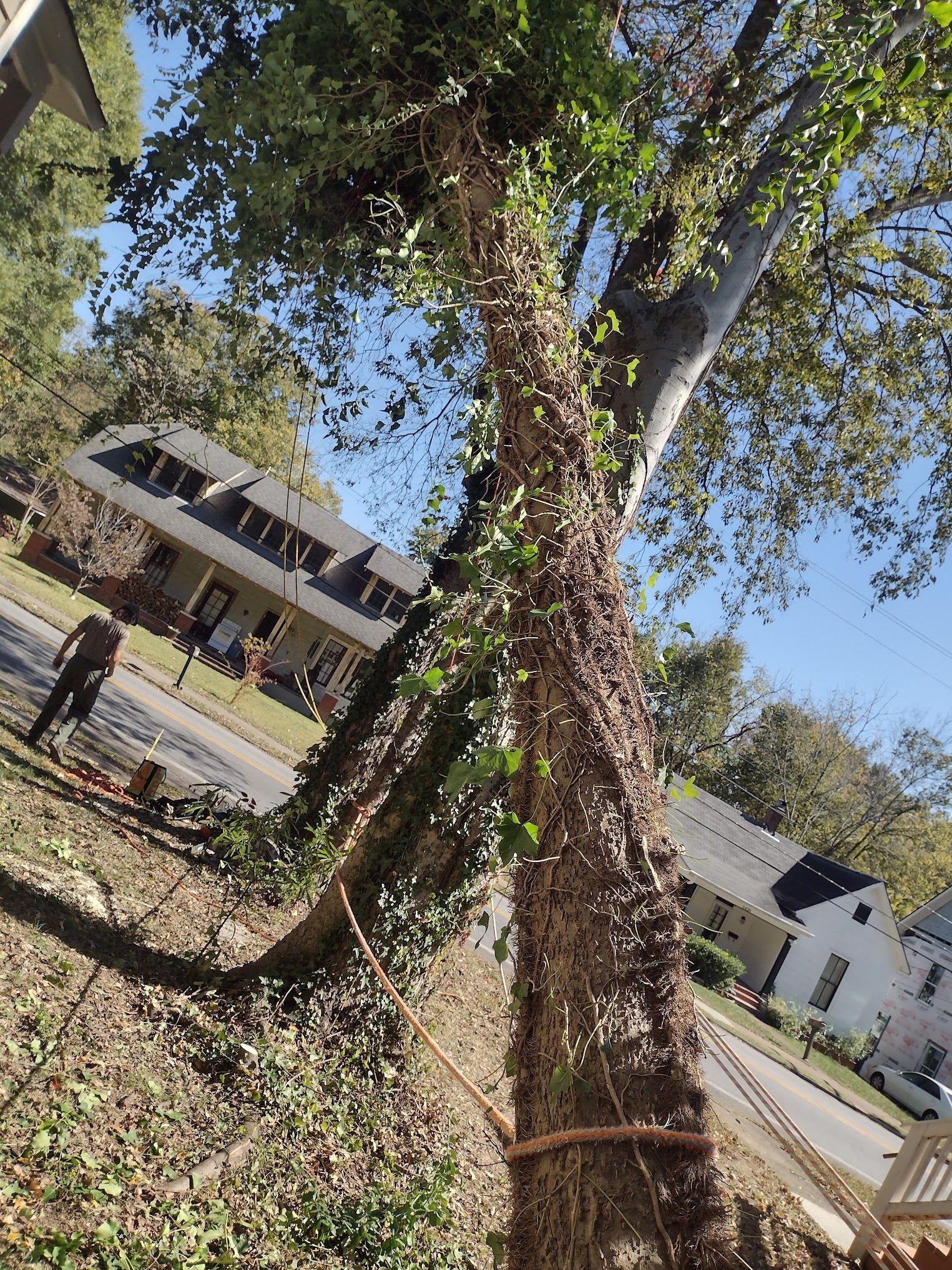 A man is standing next to a tree in front of a house.
