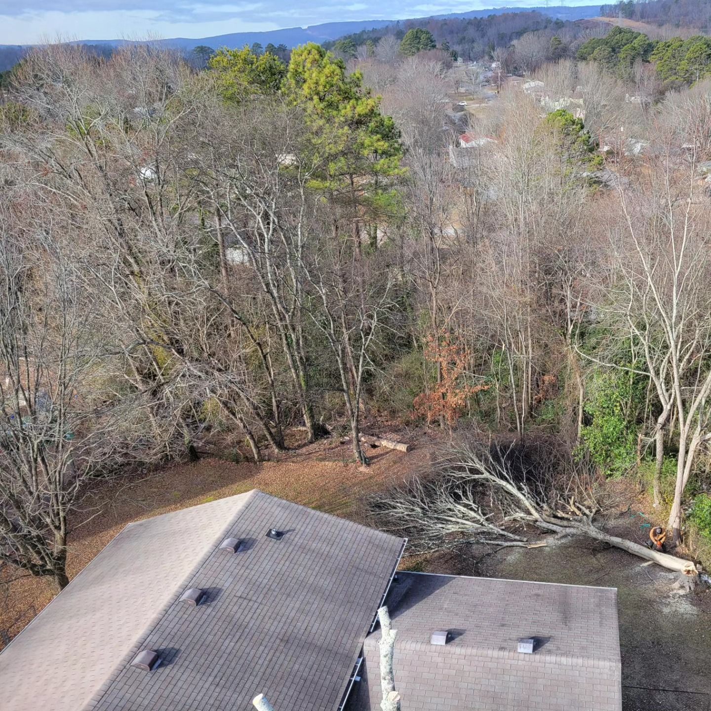 An aerial view of a house in the middle of a forest.