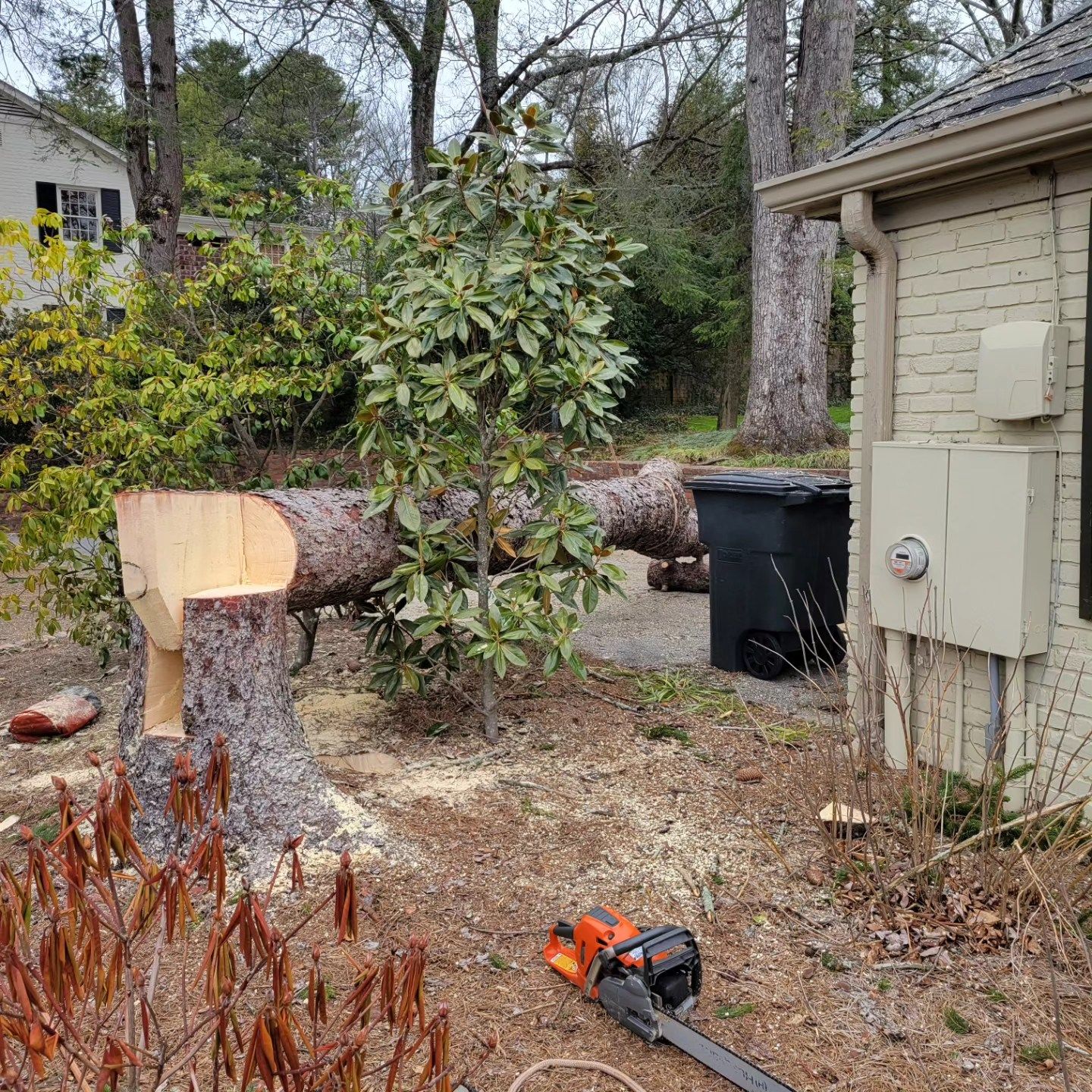 A chainsaw is sitting next to a tree stump in front of a house.