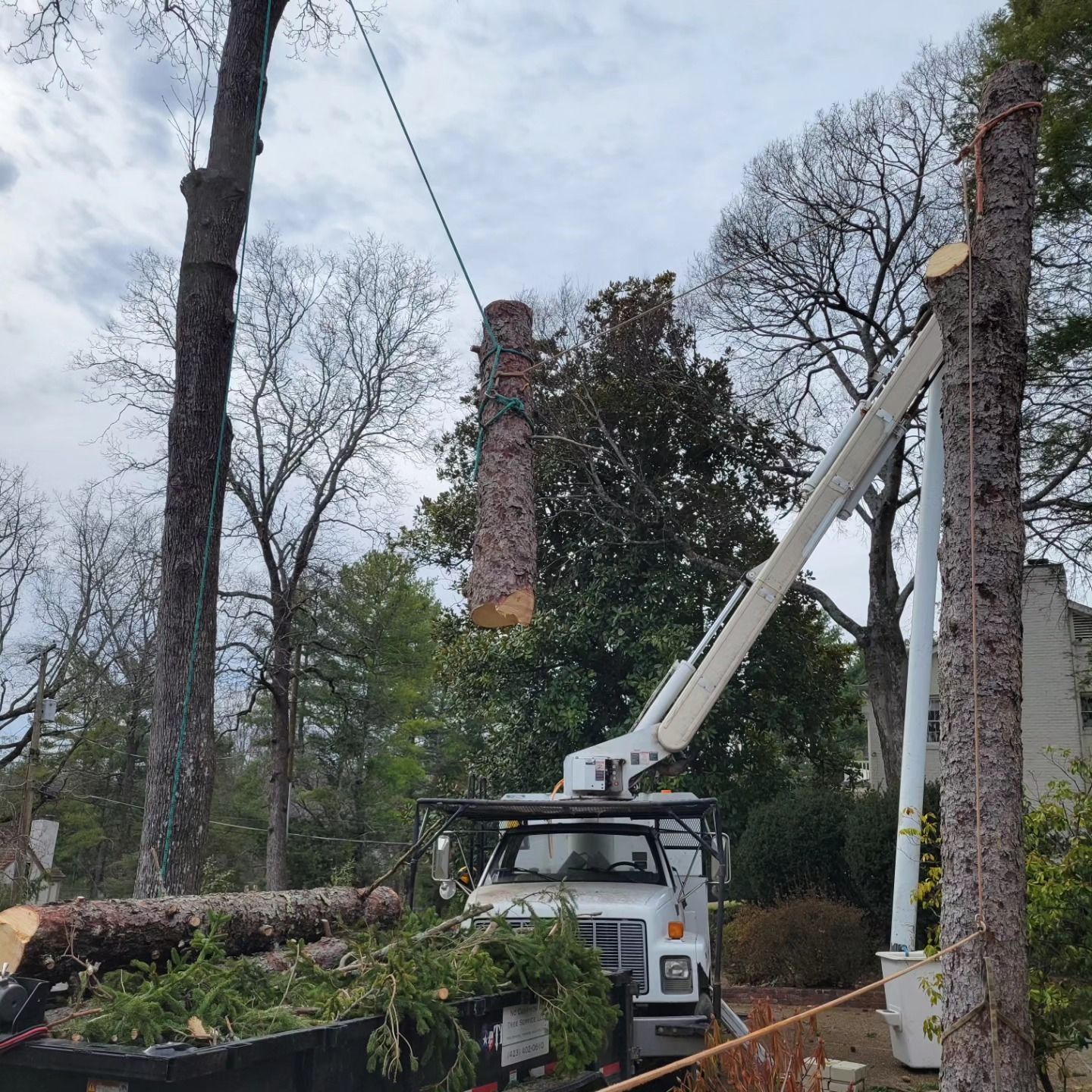 A white truck with a crane attached to it is cutting a tree.