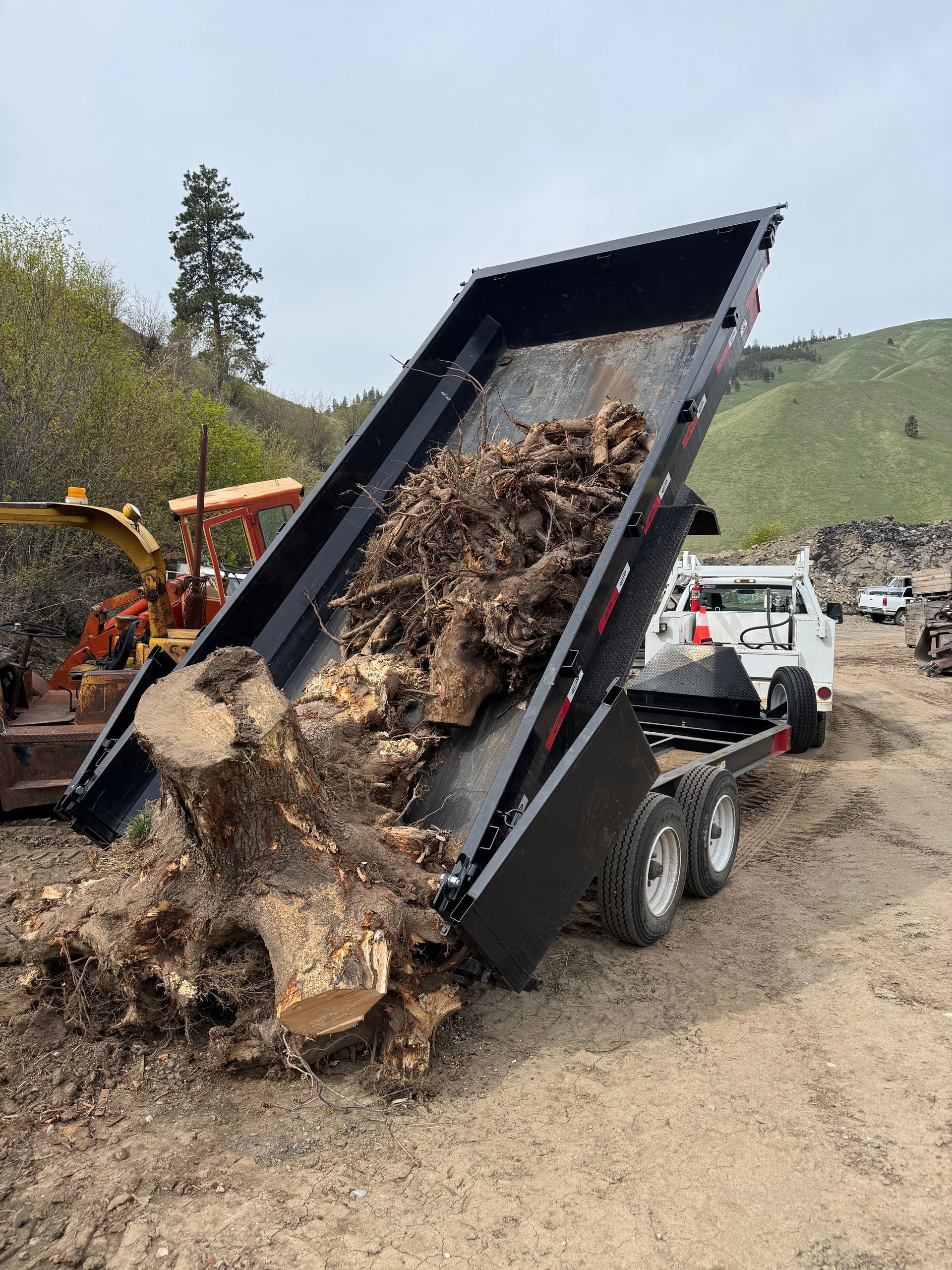 A dump truck is carrying a large tree stump on a trailer.