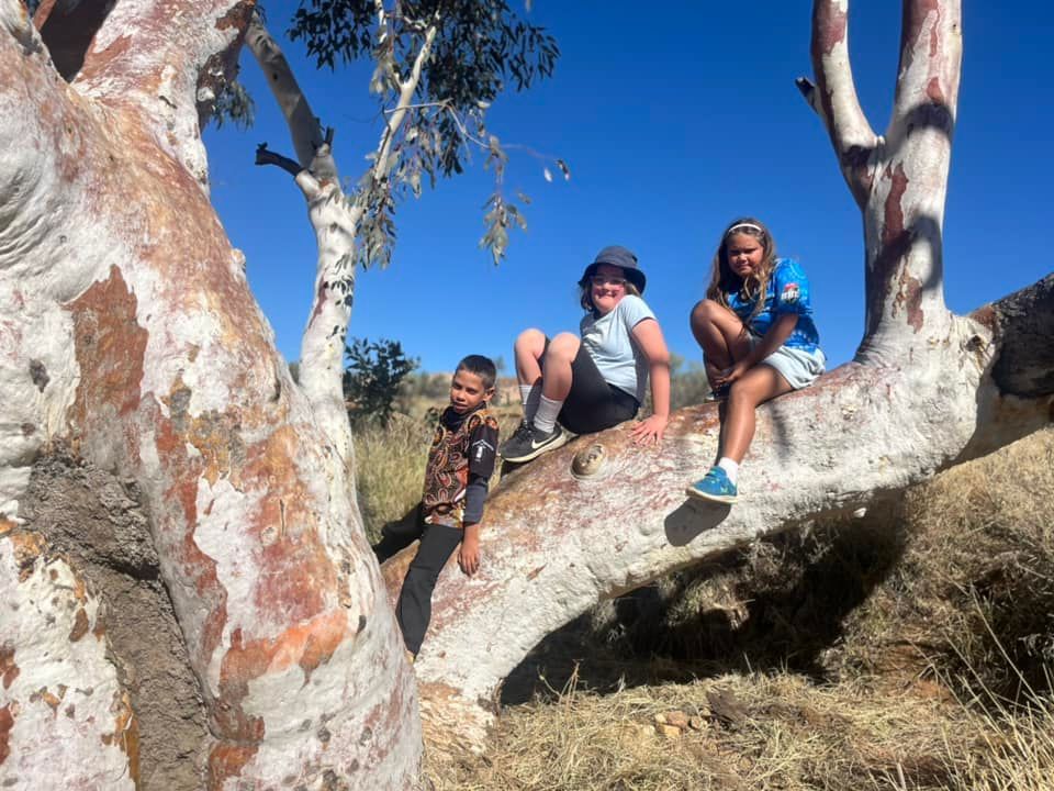 Three children sit on a large tree branch under a clear blue sky.