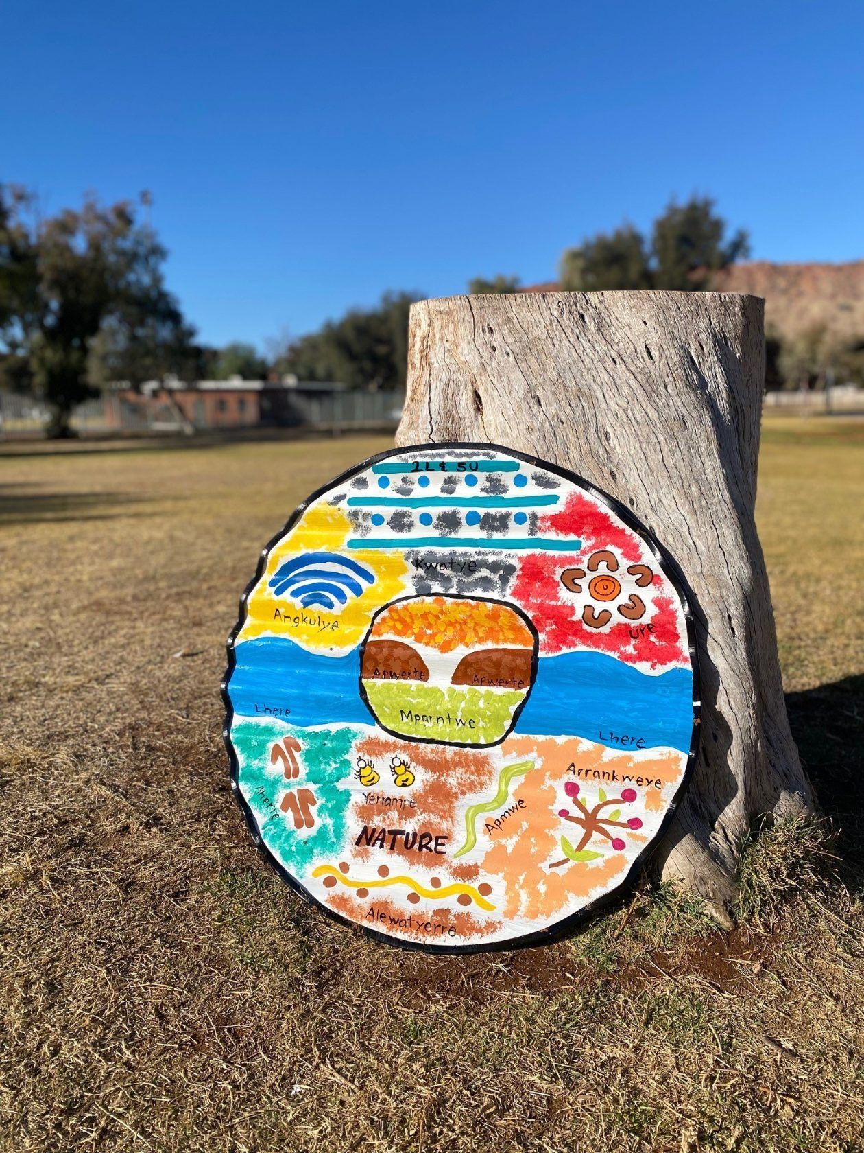 Colorful artwork on a wood slice, leaning against a tree stump in a park setting.