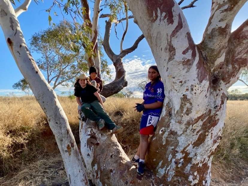 Three people pose on a large tree, in a sunny, outdoor setting.