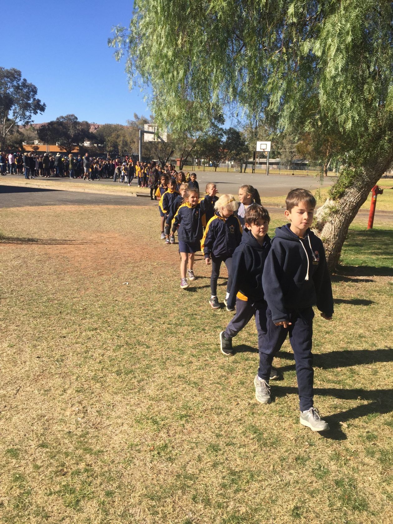 Children in school uniforms walking in a line on grass outside on a sunny day.