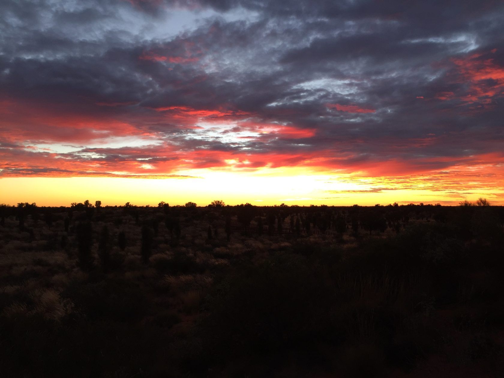 Sunset over a silhouette of desert plants, with fiery red and orange clouds against a darkening sky.