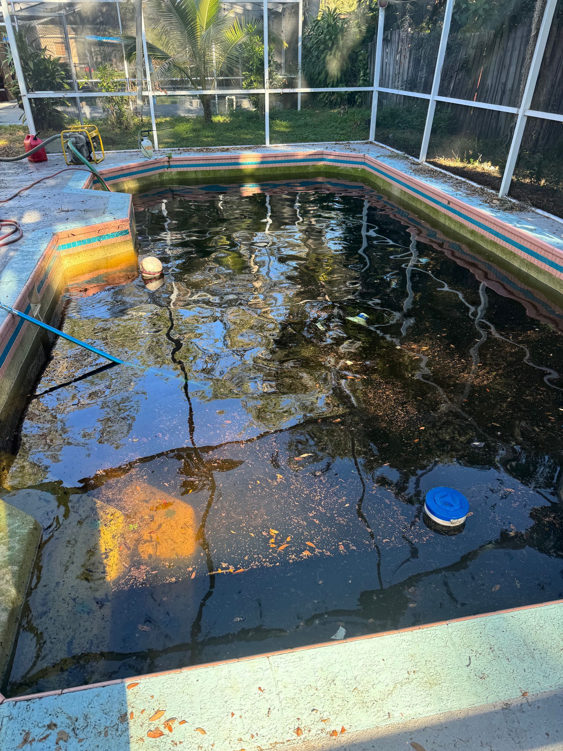 A green swimming pool with a hose in it